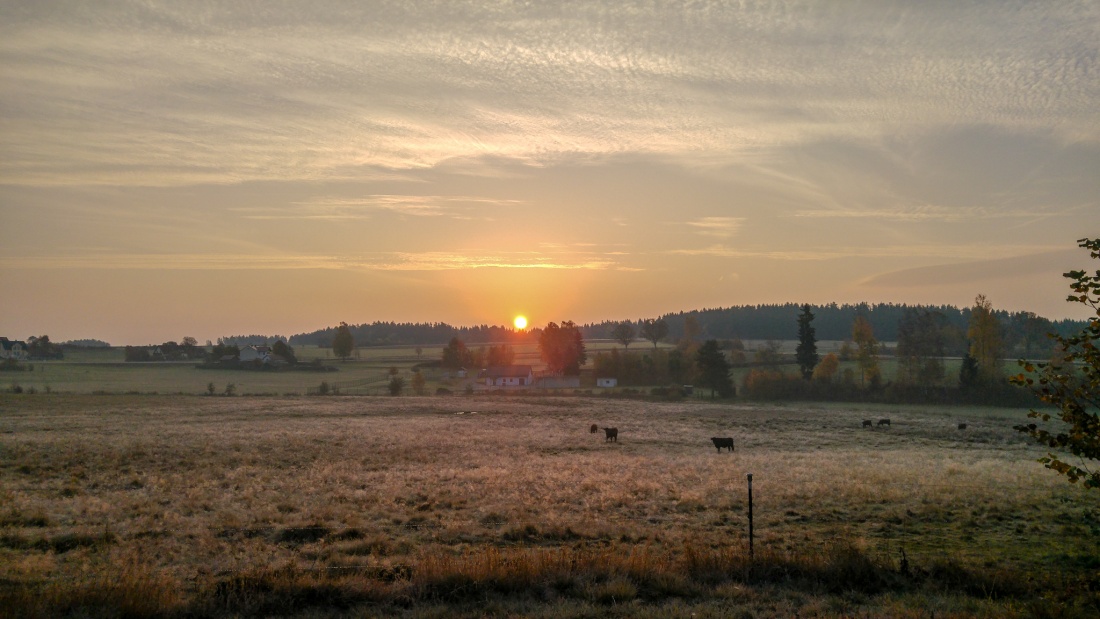 Foto: Martin Zehrer - Morgen-Phantasien...<br />
<br />
Die Sonne erklimmt das Fichtelgebierge, die Kühe sind bereits auf der Weide...<br />
<br />
Brand, 19. Oktober 2018 