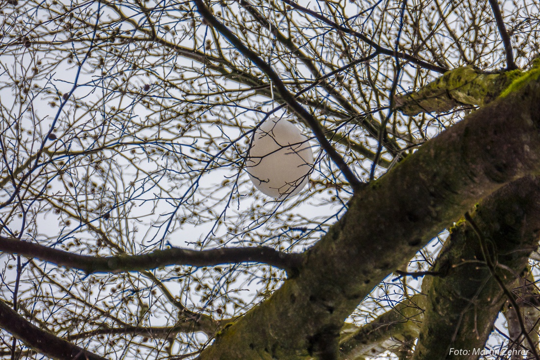 Foto: Martin Zehrer - Näher hingeguckt... Mitten im Wald am Fuße des Vulkankegels Armesbergs hängt dieser Luftballon am 5. November 2017 in den Ästen eines hohen Baumes.<br />
Wir konnten keine Pos 