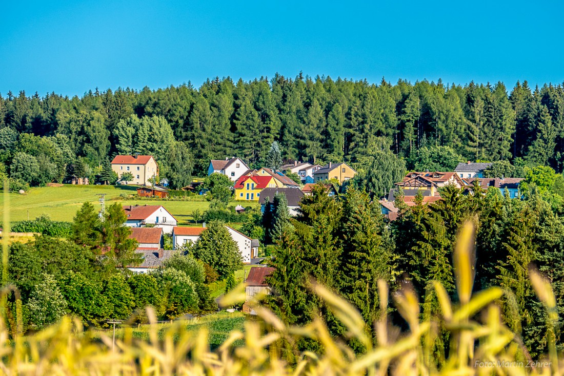 Foto: Martin Zehrer - Haselbrunn bei Lochau von seiner besten Seite. 