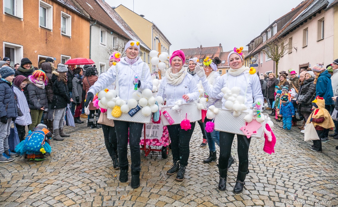 Foto: Martin Zehrer - Gaudi, Gaudi, Gaudi!!! Faschingszug des WCV durch Waldeck am 11. Februar 2018! <br />
 