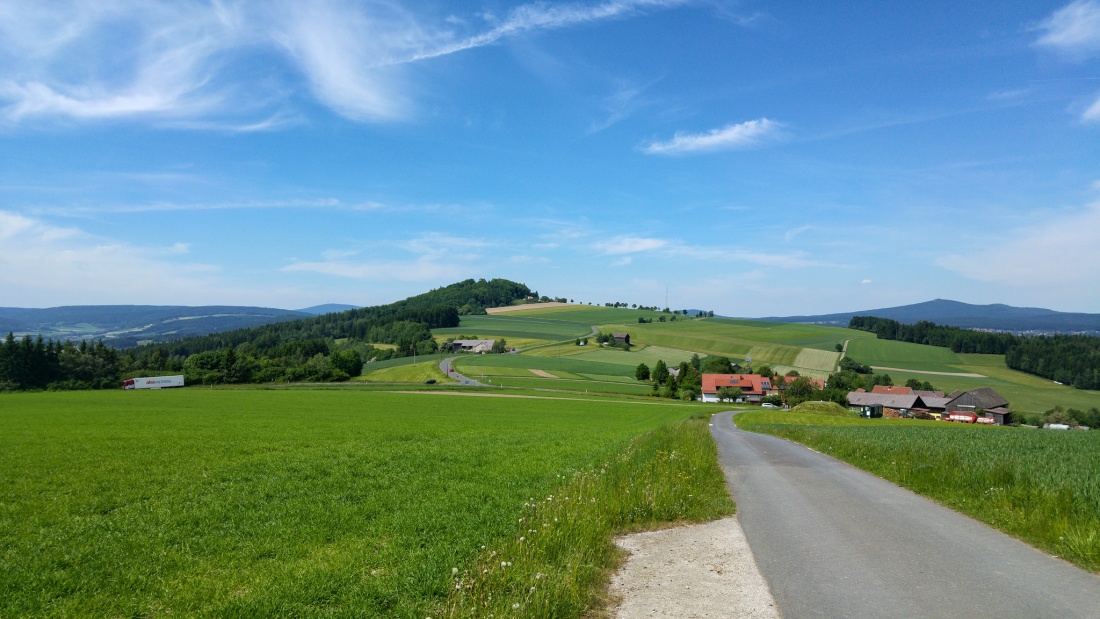 Foto: Martin Zehrer - Blick vom Zissler-Wald zum Armesberg rüber...  