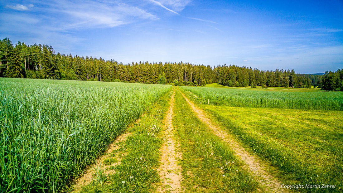 Foto: Martin Zehrer - Abkürzung: Ein Feldweg kurz vor Hermannsreuth...<br />
<br />
Gigantische Radtour an einem gigantischen Sonntag... über Berg und Tal, durch Wald und Wiese, mit nur einem Ziel: Gäns 