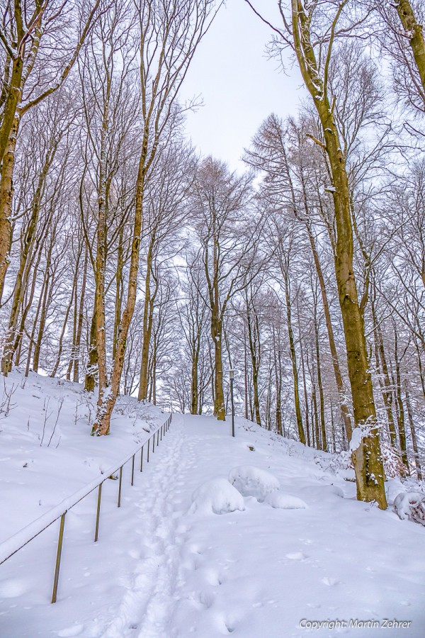 Foto: Martin Zehrer - Aufstieg zum Armesberg im Winter 