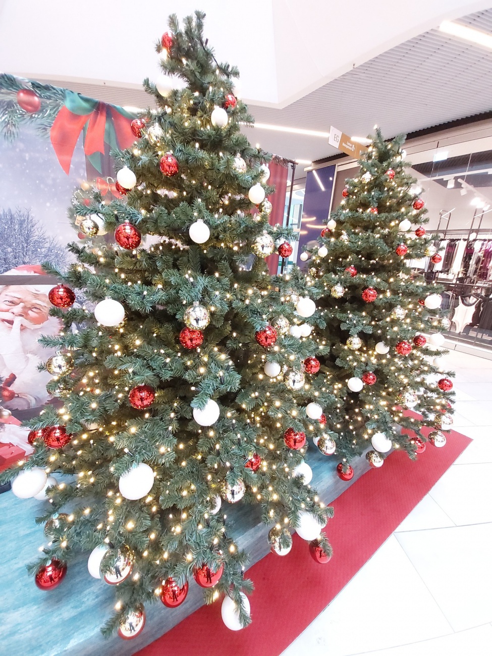 Foto: Martin Zehrer - Im Einkaufszentrum funkeln Weihnachtsbäume in Rot und Weiß, wie funkelnde Sterne der winterlichen Nacht, während warme Lichter die Herzen erhellen. Die Freude des Festes  