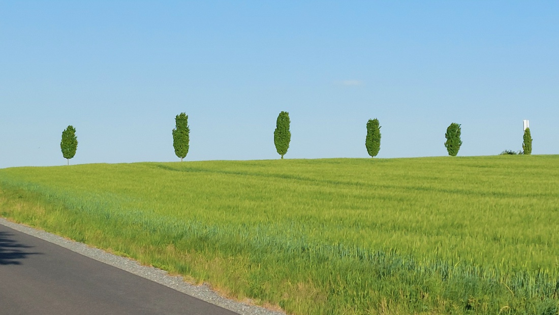 Foto: Martin Zehrer - Herrliche Landschaft! Oben am "Leifer-Kreitz", zwischen Kemnath und Kötzersdorf... 