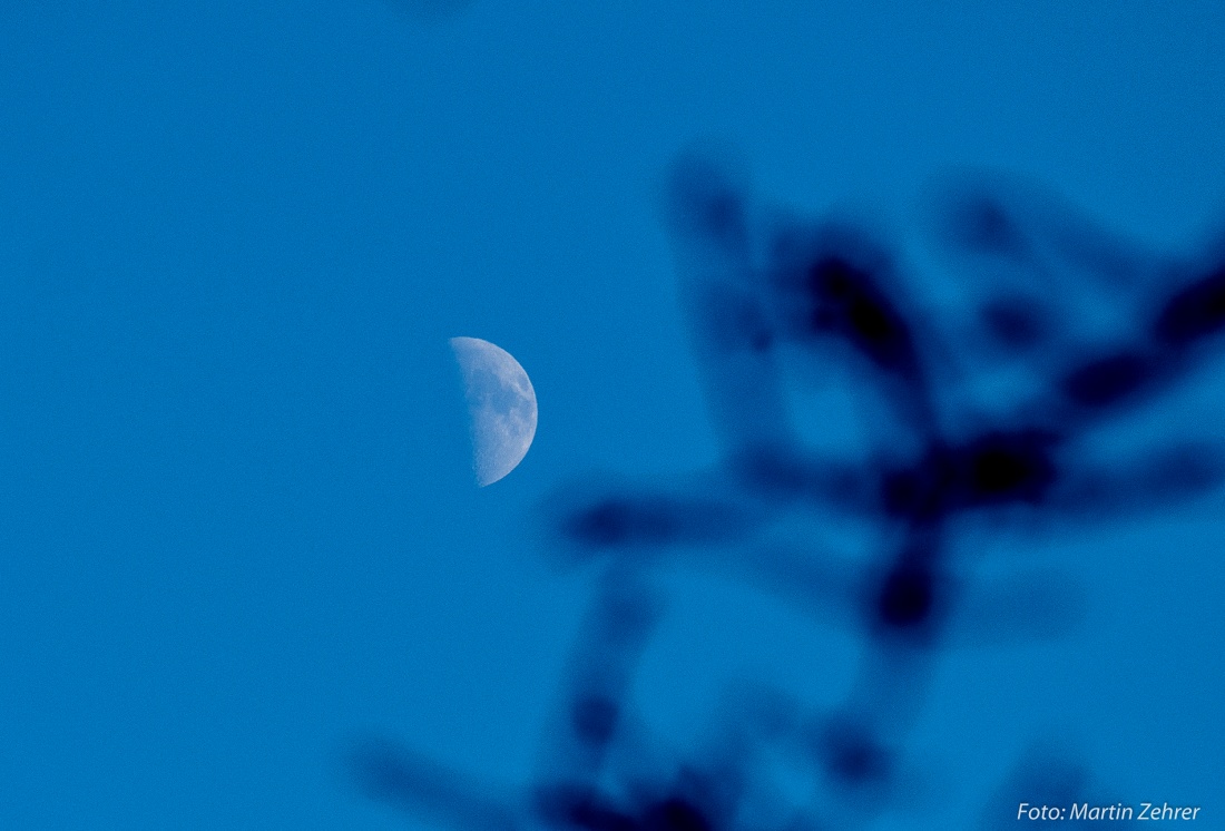 Foto: Martin Zehrer - Es war der halbe Mond aufgegangen... gesehen bei der Winterwanderung durch den Steinwald zum Waldhaus... 
