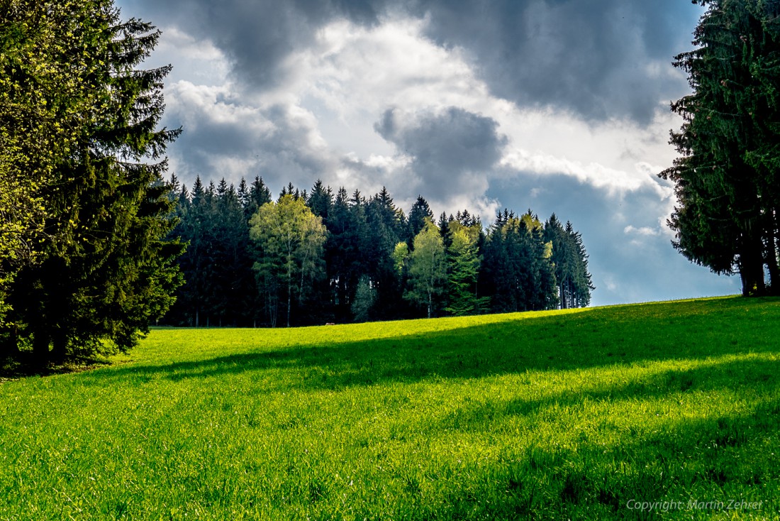 Foto: Martin Zehrer - Bezauberndes Farbspiel im Frühling. Nähe Godas, am Fuße des Steinwaldes, finden sich diese natürlichen Kontraste wieder. Saftige Wiesen, volle Wälder und unglaubliche Lic 