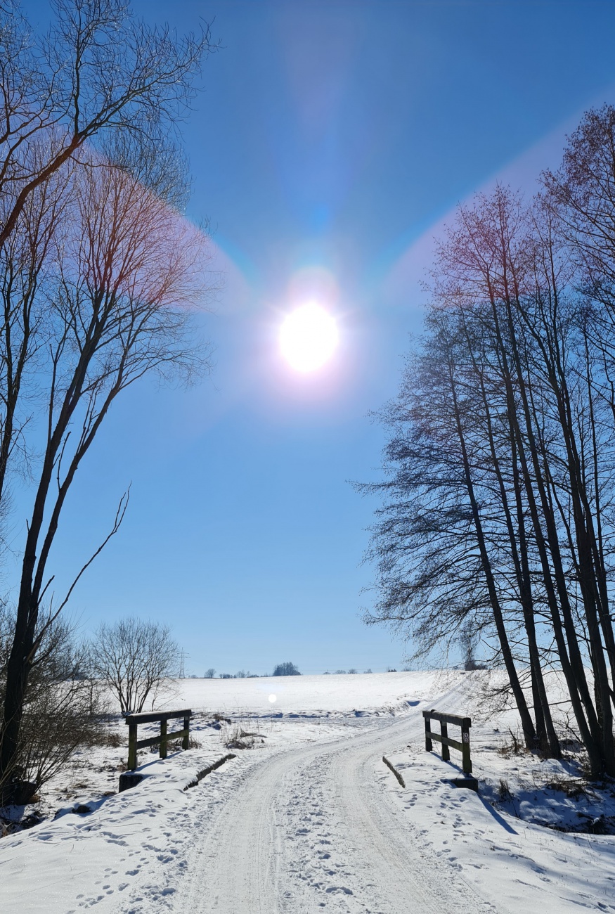 Foto: Jennifer Müller - Valentinstag 2021... Schöner könnte das Wetter nicht sein! Unterwegs zwischen Kulmain und Altensteinreuth... Sonne, ca. -3 Grad und nahezu windstill... Ein Traum! 