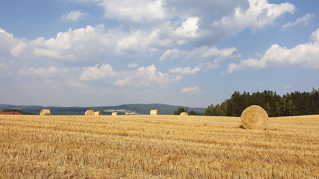 Foto: Martin Zehrer - Godas - Zentrum größter Ruhe und Strohballen auf dem Acker ;-) 