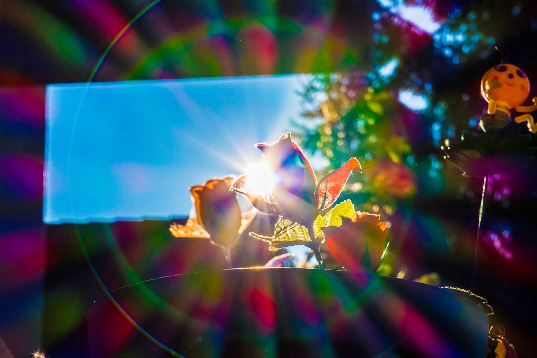 Foto: Martin Zehrer - 28. Dezember 2025 - Schon seit ein paar Tagen schickt die Sonne mit voller Wucht ihre Strahlen zur Erde.<br />
<br />
Die Temperaturen Nachts im einstelligen Minusbereich, tags&uuml;ber 