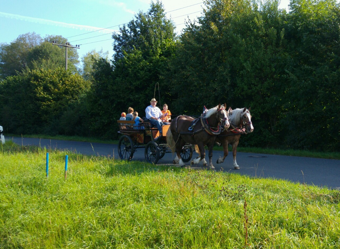 Foto: Martin Zehrer - Heute Früh: Kutschenfahrt in Neusorg... 