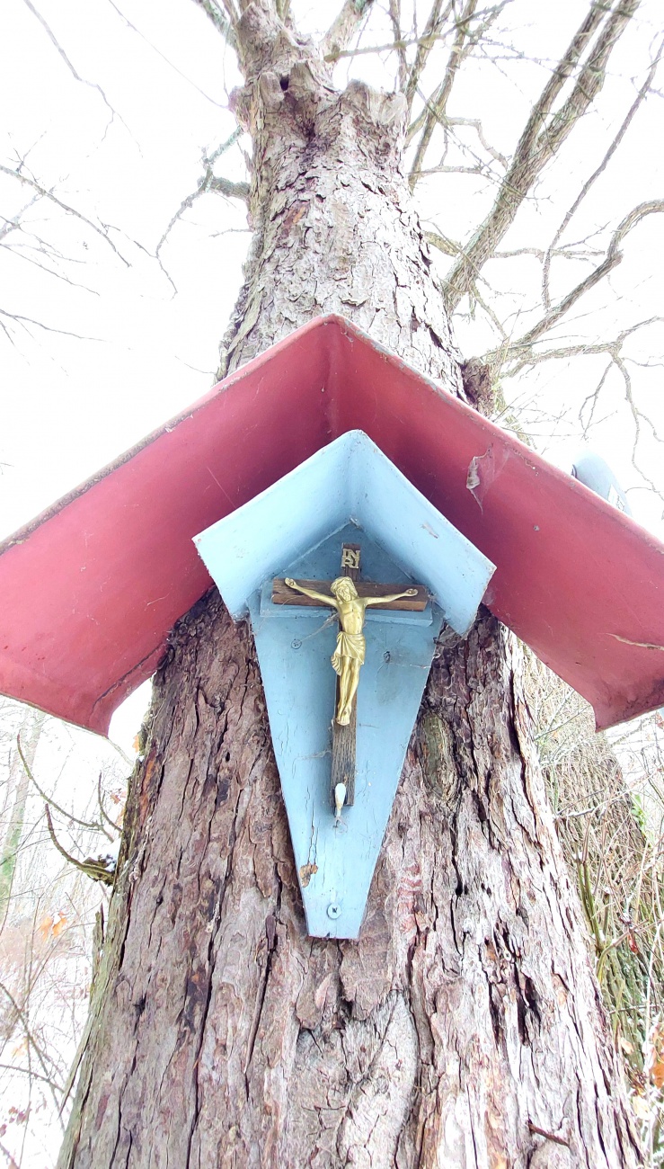 Foto: Martin Zehrer - Hängt an einem Baum in Kemnath... 