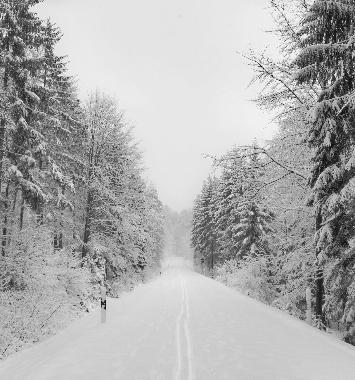 Foto: Jennifer Müller - Heut mal unterwegs im hessenreuther Wald. Hier hat der Winterdienst Endstation. Die Straße Richtung Hessenreuth ist ab hier wegen der großen Baustelle gesperrt. Ein Glück 