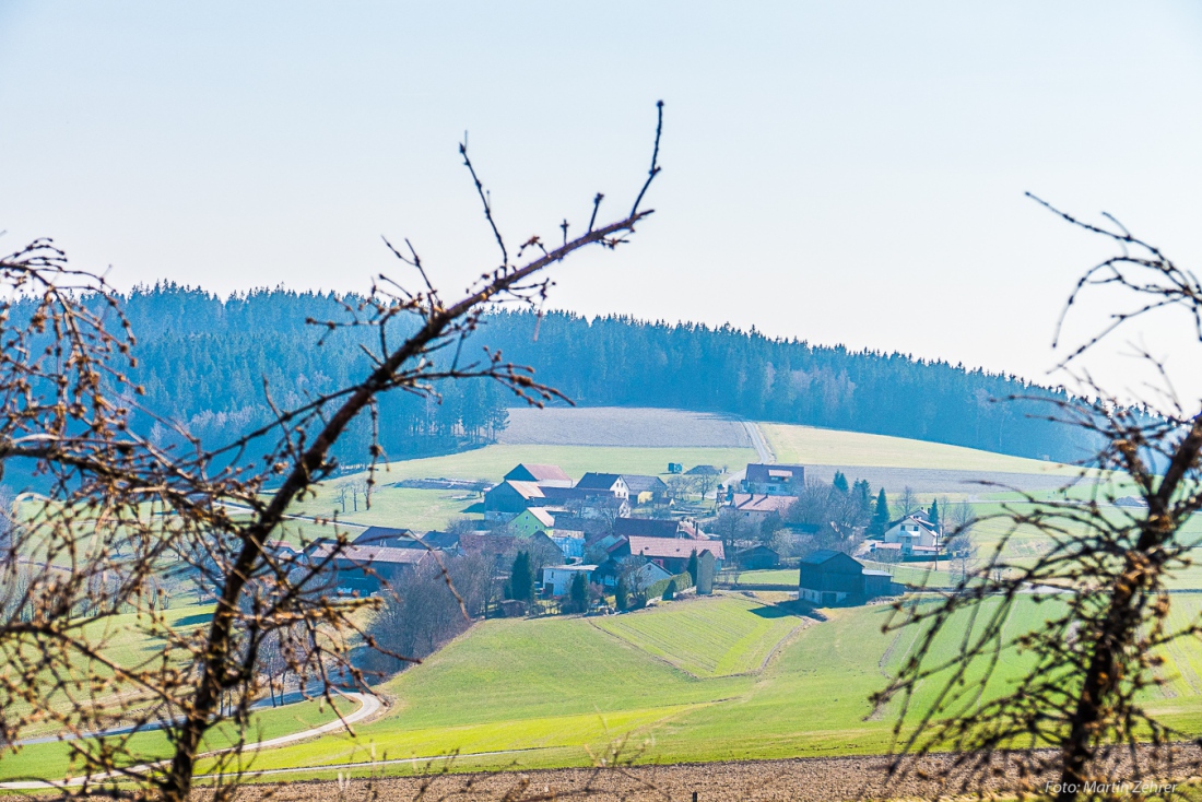 Foto: Martin Zehrer - Das Zentrum im Focus... ;-)<br />
<br />
Samstag, 23. März 2019 - Entdecke den Armesberg!<br />
<br />
Das Wetter war einmalig. Angenehme Wärme, strahlende Sonne, die Feldlerchen flattern sc 