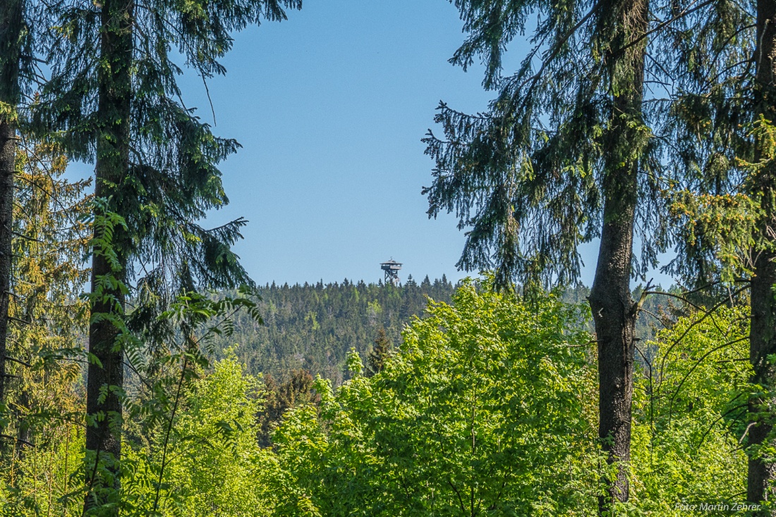 Foto: Martin Zehrer - Endlich... Nach ca. 6 Kilometern vom Parkplatz bei Pfaben aus gerechnet, taucht der Oberpfalzturm das erste Mal in Sichtweite auf. Zu erkennen ist die Konstruktion und de 