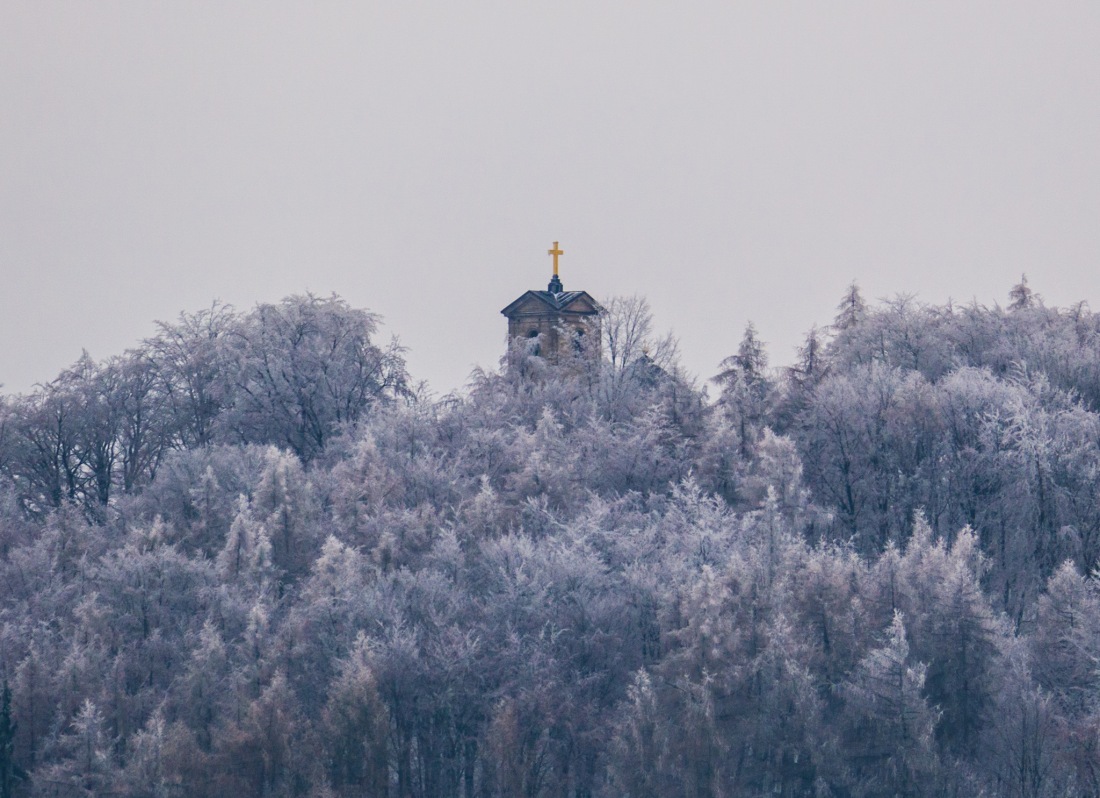 Foto: Martin Zehrer - Der Armesberg am 1. Februar 2017... Das Wetter ist etwas trübe... 