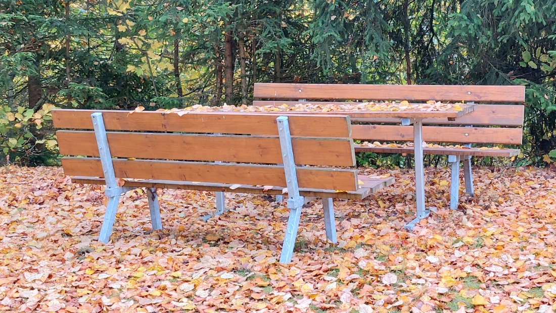 Foto: Martin Zehrer - Herbst-Plätzl... Oben, bei Ölbrunn... 