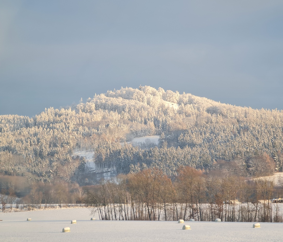 Foto: Martin Zehrer - Herrliches Winter-Panorama von Zinst aus gesehen. 