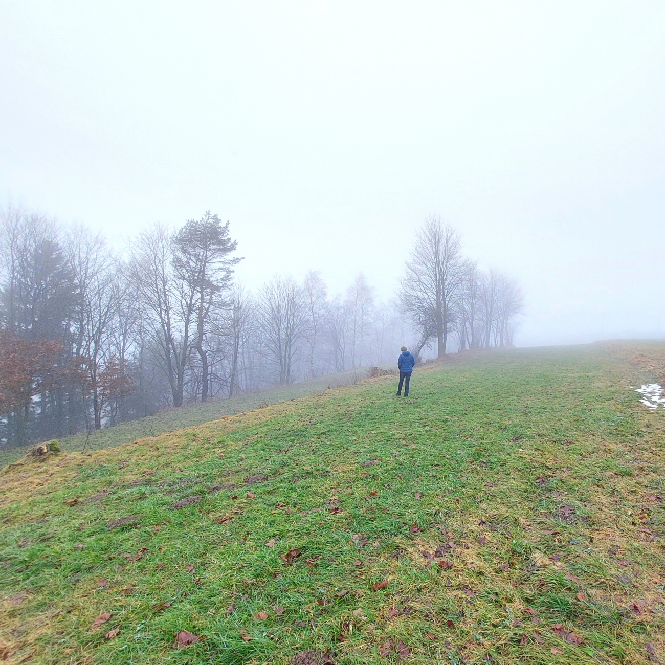 Foto: Martin Zehrer - Knochen auf einer Wiese bei Godas...<br />
Am Donnerstag, 30. Dezember 2021, haben wir beim Spaziergang dieses Bein eines Rehs ca. 300 Meter oberhalb von Godas entdeckt.<br />
An z 