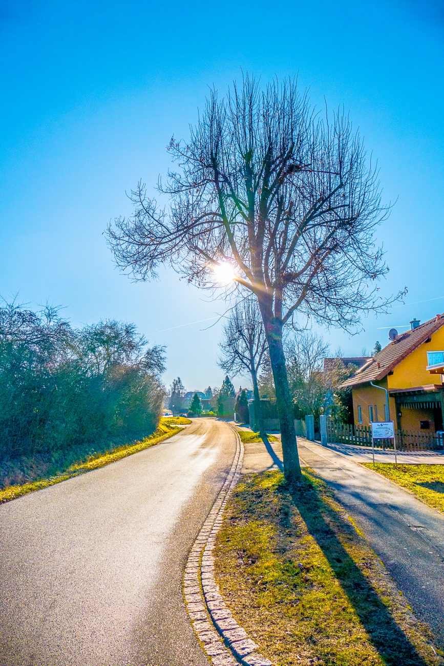 Foto: Martin Zehrer - Wunderbares Winterwetter in der Eisersdorfer Au in Kemnath. 