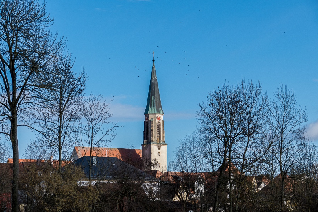 Foto: Martin Zehrer - Der kemnather Kirchturm umkreist von Rabenvögel... 
