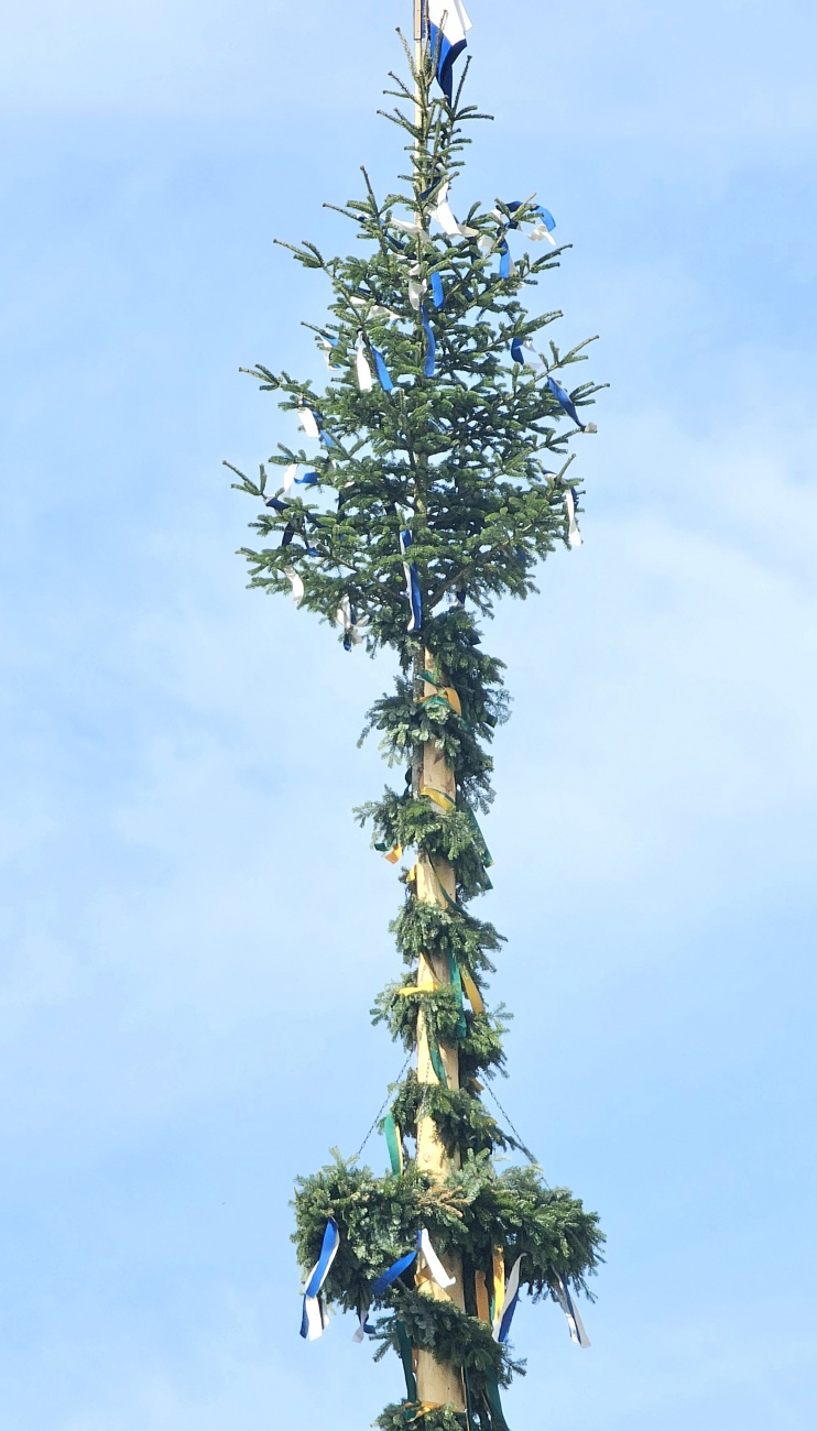 Maibaum-Spitze in Tirschenreuth...