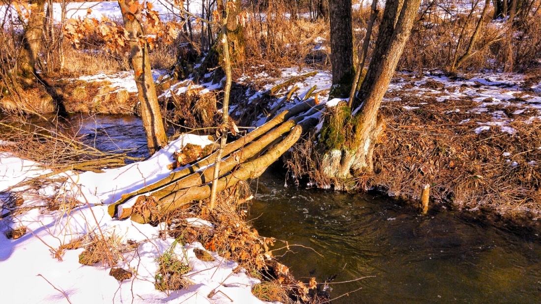 Foto: Martin Zehrer - Brücklein...<br />
<br />
Am kulmainer Stausee... Die vergangene Nacht hatte es ca. minus 8 Grad, das Wetter heute ist gigantisch. <br />
Wer hier her kommt, erlebt ein kleines Stückche 