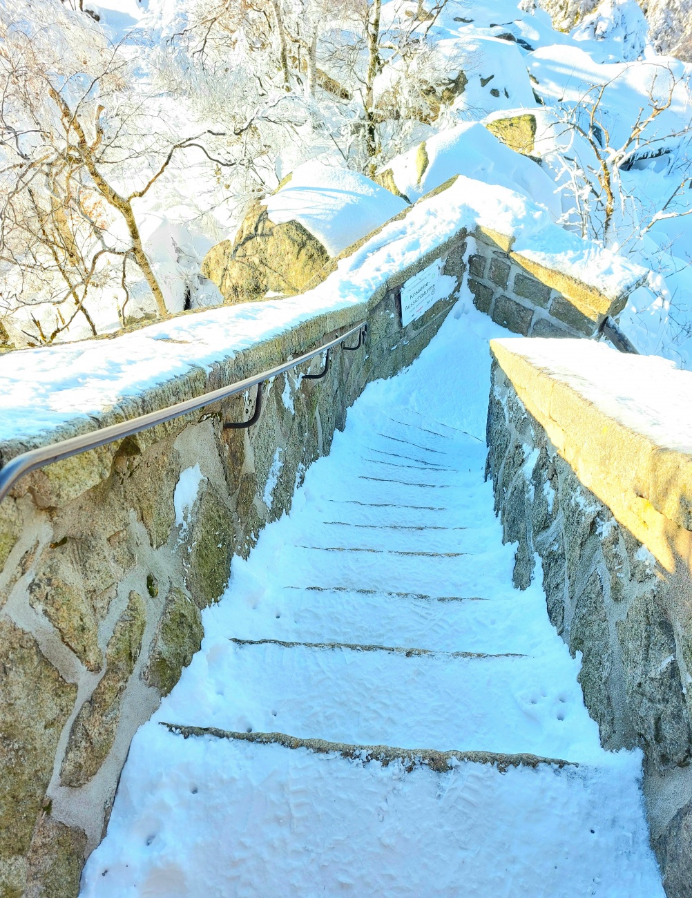 Foto: Martin Zehrer - Kösseine-Wanderung in den Sonnen-Himmel hinauf!<br />
Seit Tagen und Wochen herrscht trübes bzw. nebeliges Wetter. Am Freitag, den 14. Januar 2022 packte mein Mäuschen den Ruc 