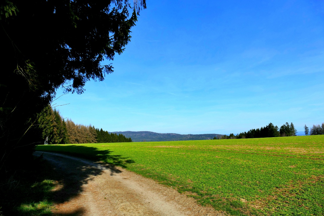 Foto: Martin Zehrer - Wandern in der wunderschönen Heimat - unfassbare Natur!!! 