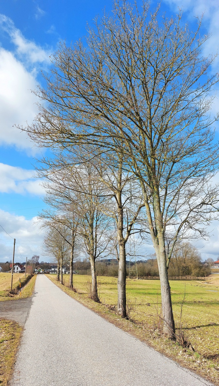 Was für ein wunderschöner Frühlings-Tag... 24. Februar 2026

Am 24. Februar 2026 war das Wetter bei Kemnath sehr frühlingshaft.
Die Temperatur lag so ca. bei +14 Grad, die Vögel pfiffen um die Wette und es lag der Duft von frisch aufgetauter Erde in der Luft.
Die Wolken wetteiferten mit der Sonne um die Vorherrschaft.