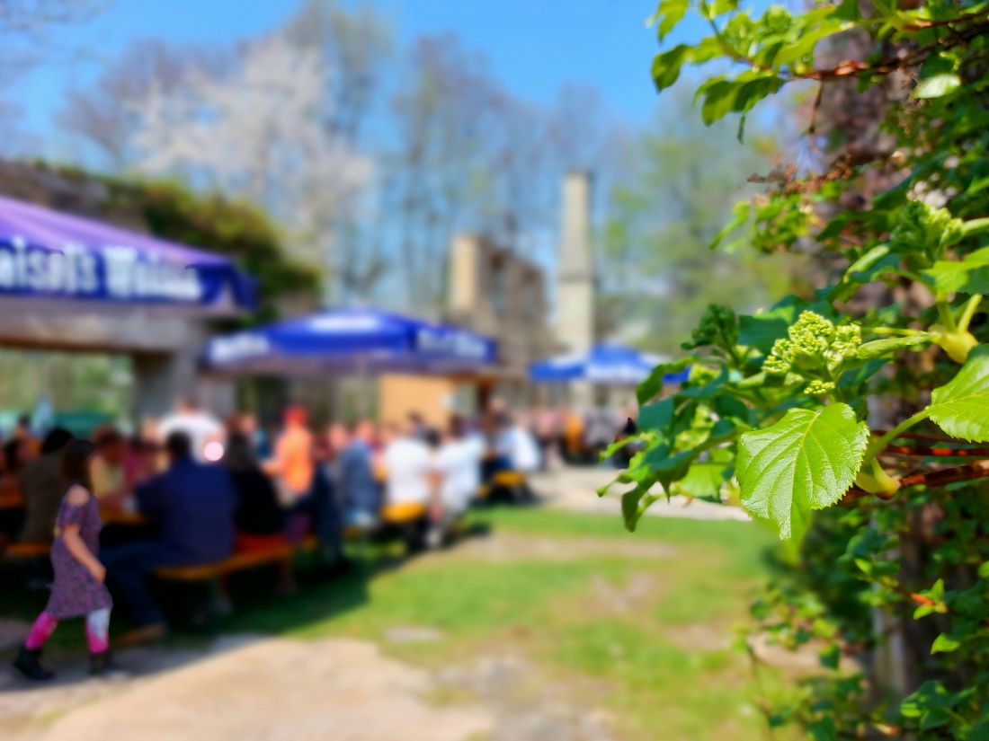 Foto: Martin Zehrer - Wunderschönes Fest mit vielen Ausstellern, einem Kinderkarusell und lauter freundlichen Menschen in den Ruinen am Weißenstädter See! <br />
Das Wetter ist ein Traum! :-) 