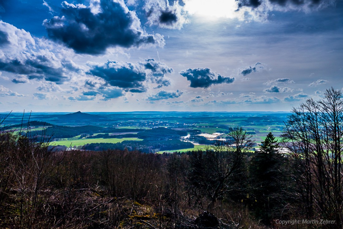 Foto: Martin Zehrer - Frühling auf dem Armesberg. Erste Hummeln fliegen durch die Gegend. Schmetterlinge lassen sich entdecken. Grüne kleine Pflanzen drücken mit aller Kraft durch das Herbstla 