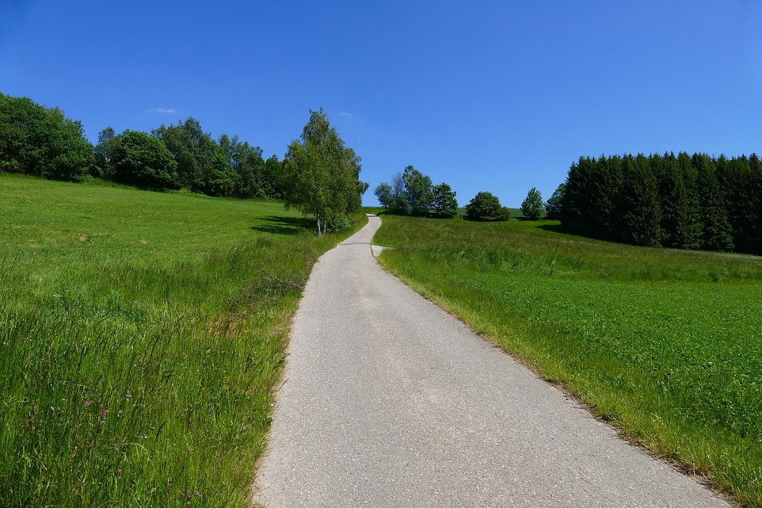 Foto: Martin Zehrer - Diese kleine Straße kommt von Neusteinreuth und führt nach Godas. Links und rechts davon liegt einem die Natur zu Füßen. 
