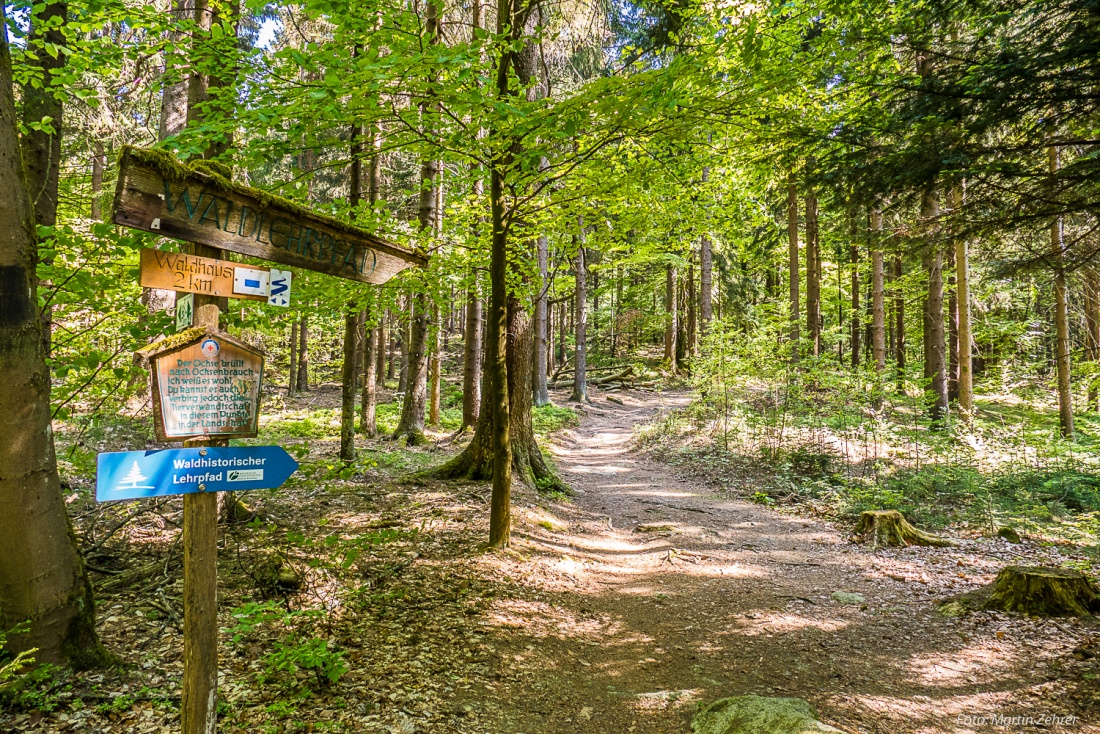 Foto: Martin Zehrer - Hier gehts direkt auf einem Pfad ca. 2 Kilometer bis zur Gaststätte WALDHAUS durch den herrlichen Steinwald...<br />
<br />
Ziel ist eine Wanderung zum Oberpfalzturm oben auf der P 