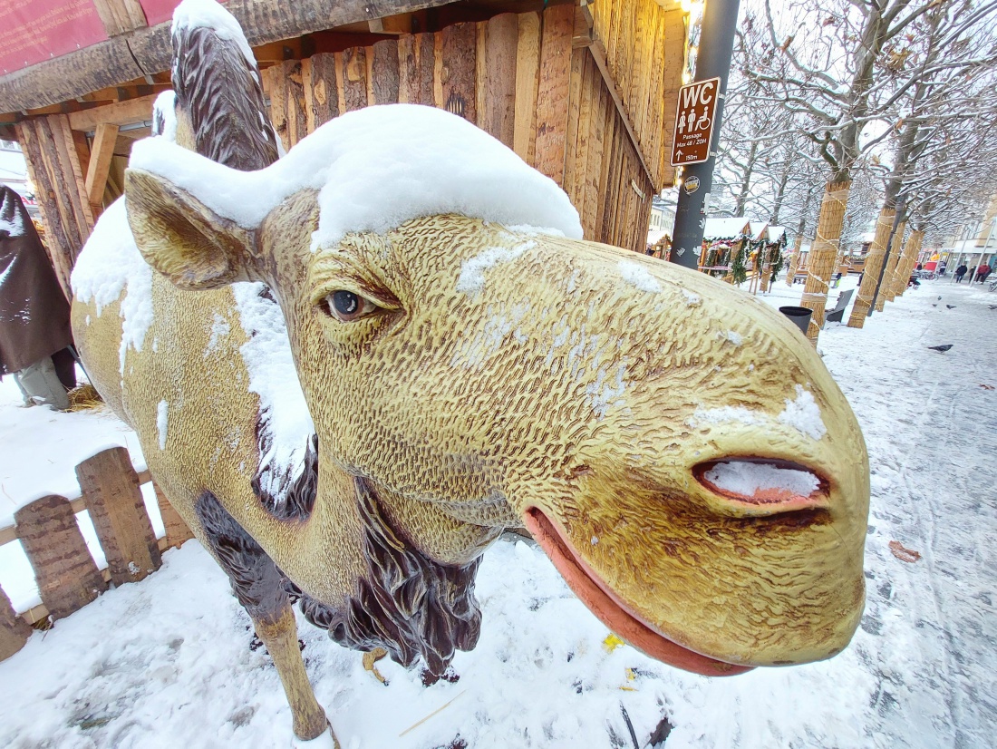 Foto: Martin Zehrer - Steht auf dem Bayreuther Weihnachtsmarkt und wartet auf das Christkind. 