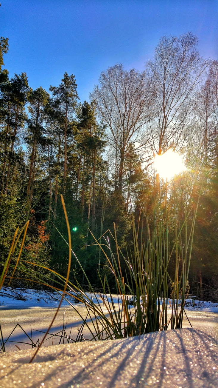 Foto: Martin Zehrer - Traum-Wetter am 16. Februar 2019<br />
<br />
Schon mehrere Tage scheint die Sonne mit voller Kraft und der Himmel zeigt sich tief-blau. 