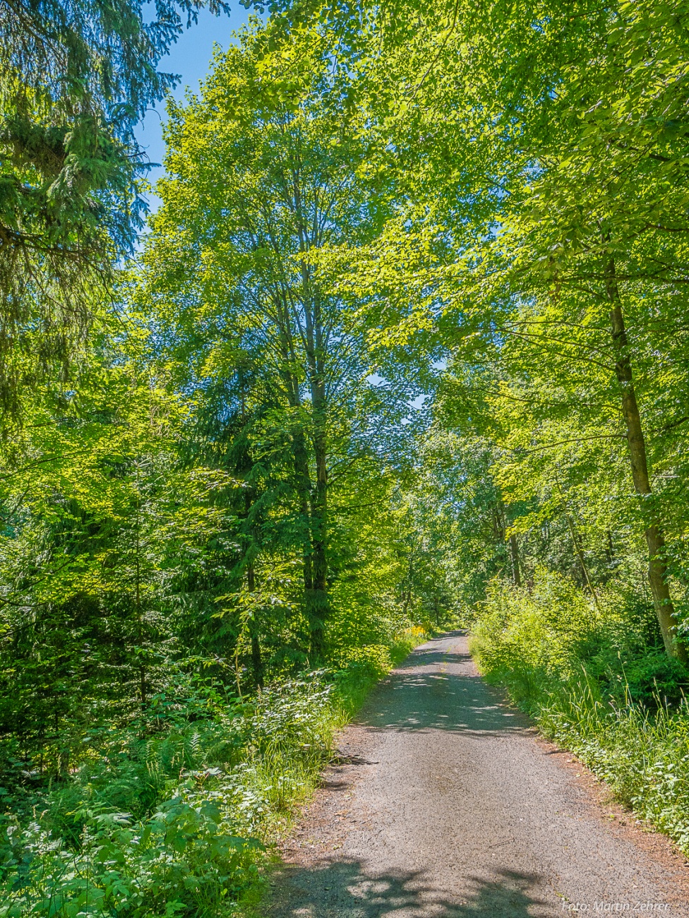 Foto: Martin Zehrer - Herrliches Wetter und traumhafte Waldwege rund um die Kösseine...<br />
<br />
Radtour von Kemnath nach Waldershof, quer durch den Kösseine-Wald... 