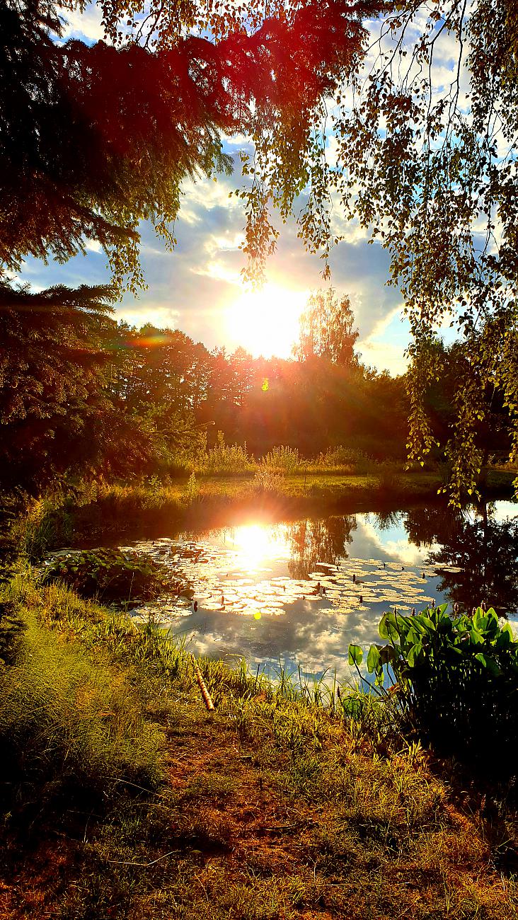 Foto: Martin Zehrer - Feierabend-Sonne :-) 