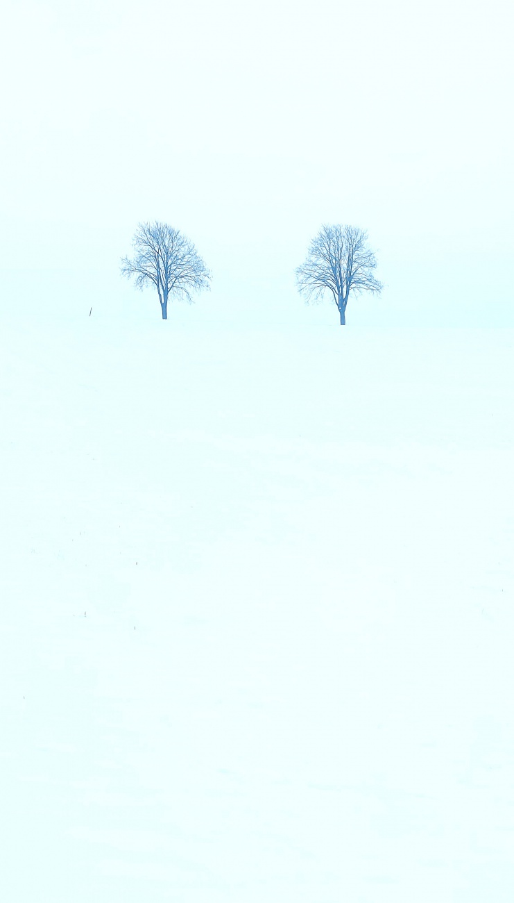 Simpler Weitblick am Läufer...