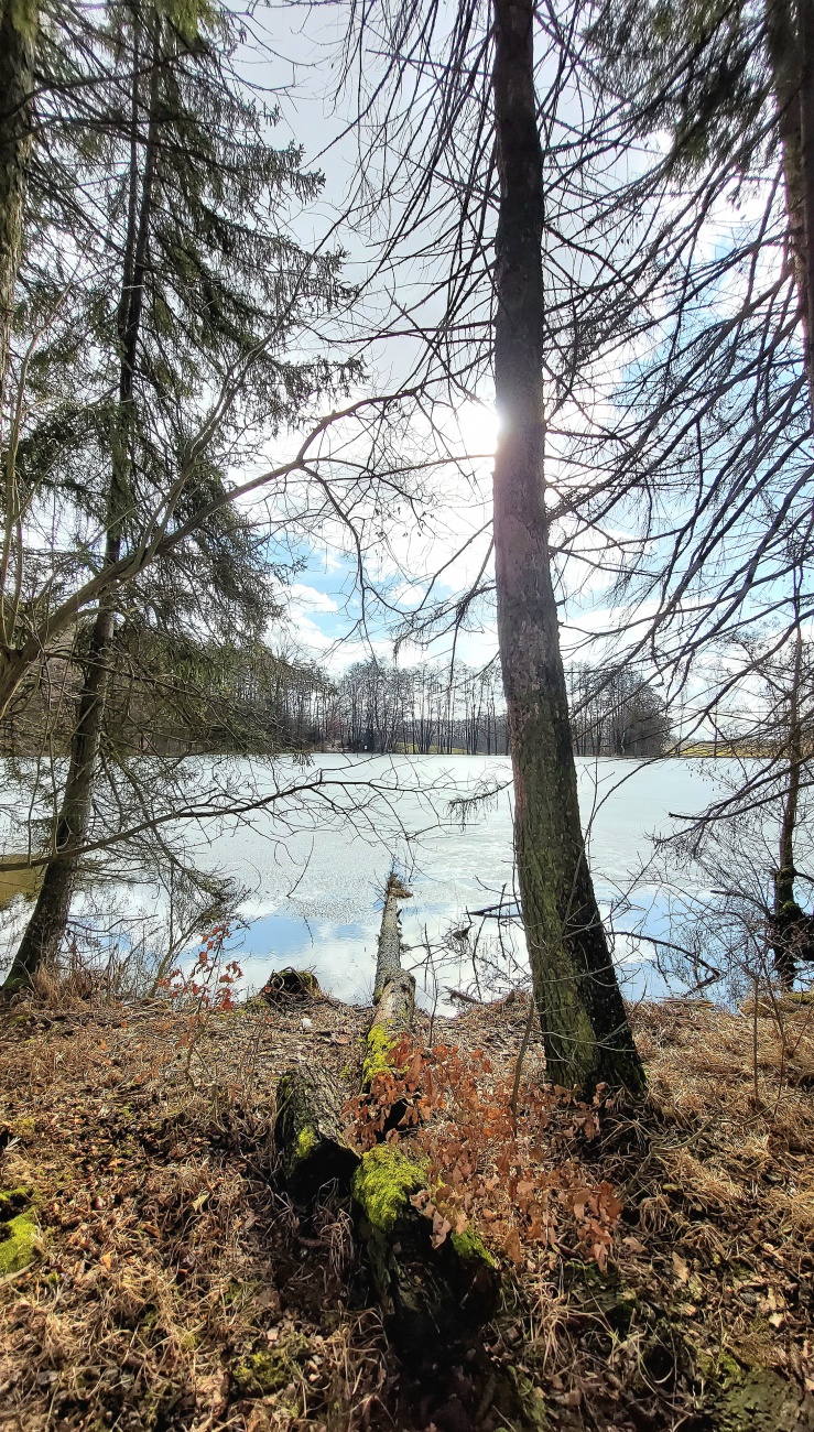 Herrliche Frühlings-Gefühle...

 Am 24. Februar 2026 war das Wetter bei Kemnath sehr frühlingshaft.
Die Temperatur lag so ca. bei +14 Grad, die Vögel pfiffen um die Wette und es lag der Duft von frisch aufgetauter Erde in der Luft.
Die Wolken wetteiferten mit der Sonne um die Vorherrschaft. 