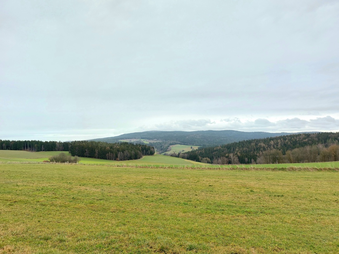 Foto: Martin Zehrer - Der Blick von Godas zum Steinwald rüber... 