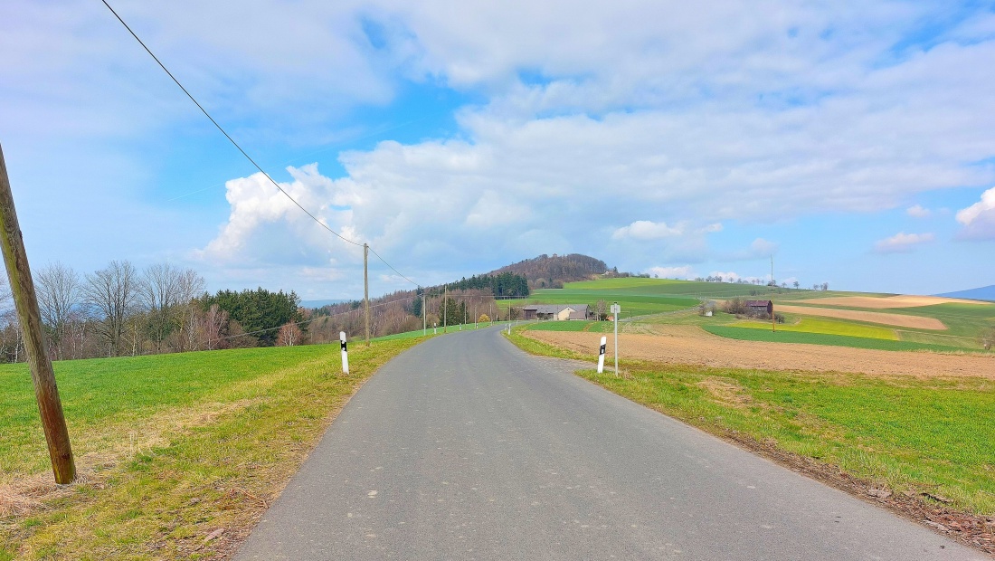 Foto: Martin Zehrer - Dienstag,  19. März 2024... Frühling!!! :-) 