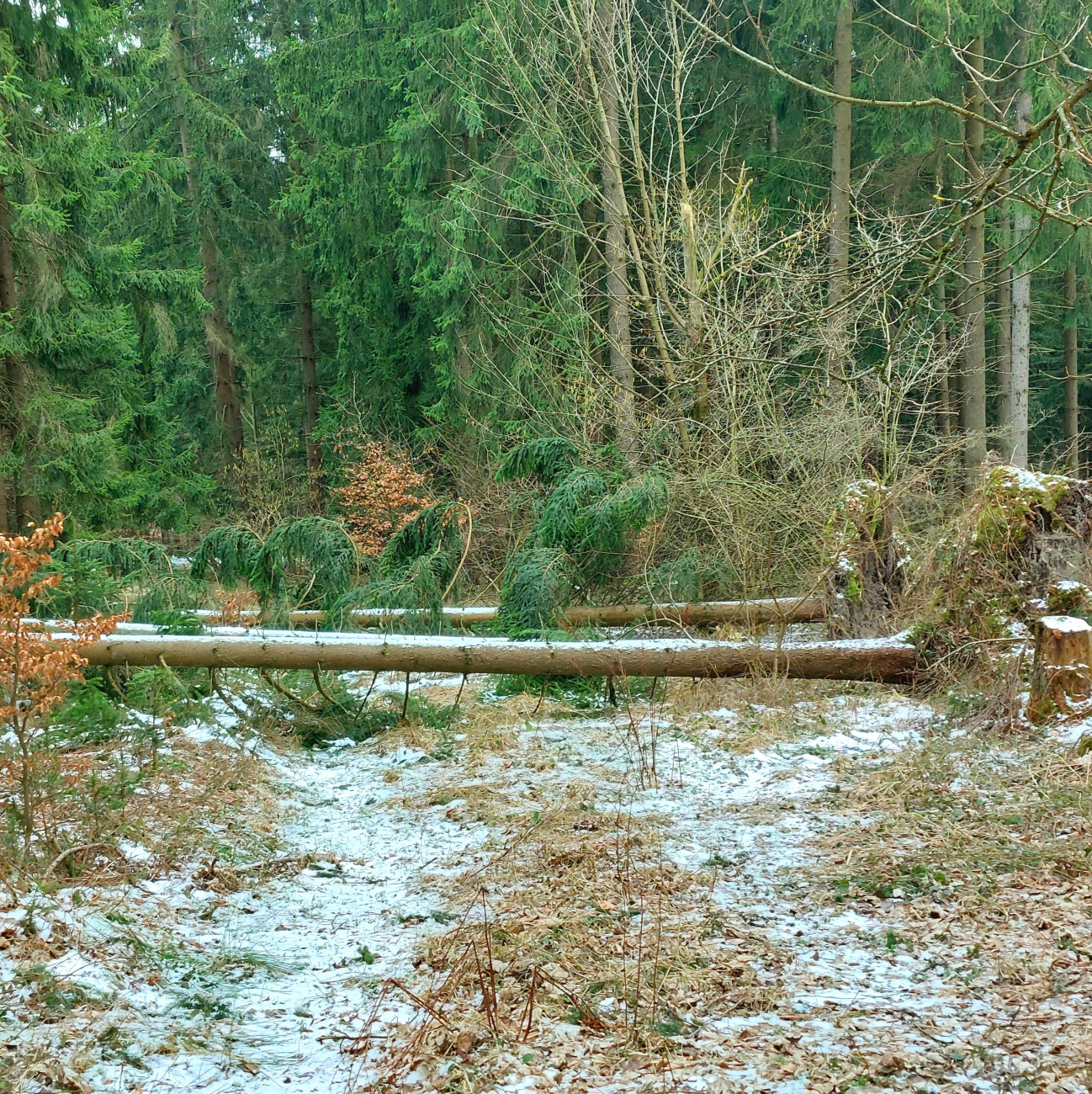 Foto: Martin Zehrer - Herrlich mir Jennifer Müller  :-) Wandern hoch zum Armesberg, oben drüber, hinten runter, einmal rund herum und wieder zurück :-) 