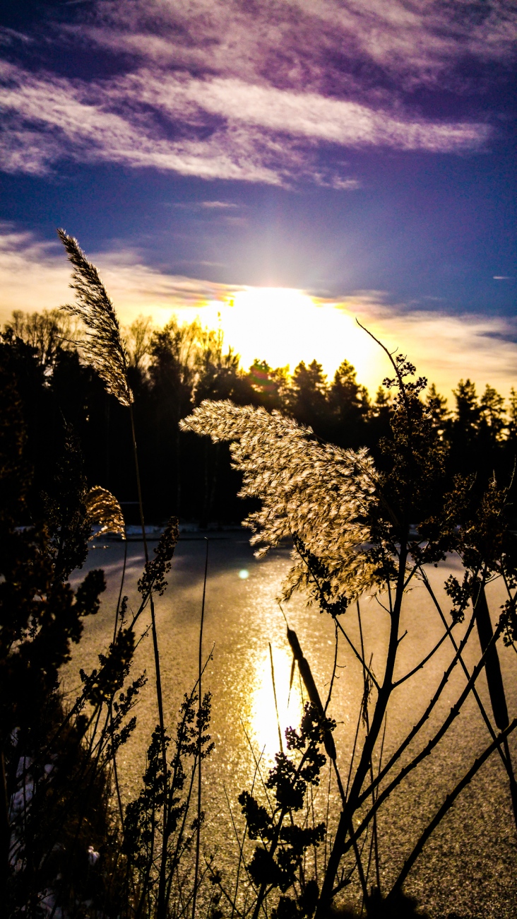 Foto: Martin Zehrer - Das Träumnis... Es geht in Richtung Frühling... ;-) 