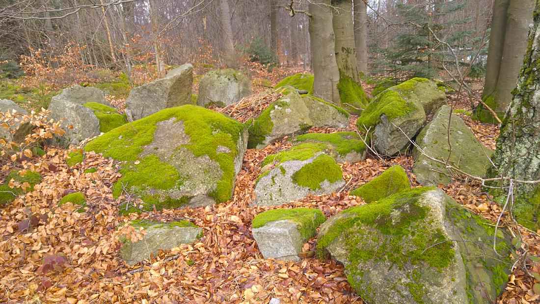 Foto: Martin Zehrer - Gleich am Fuße der Kössaine wird man von großen Felsen begrüßt... 