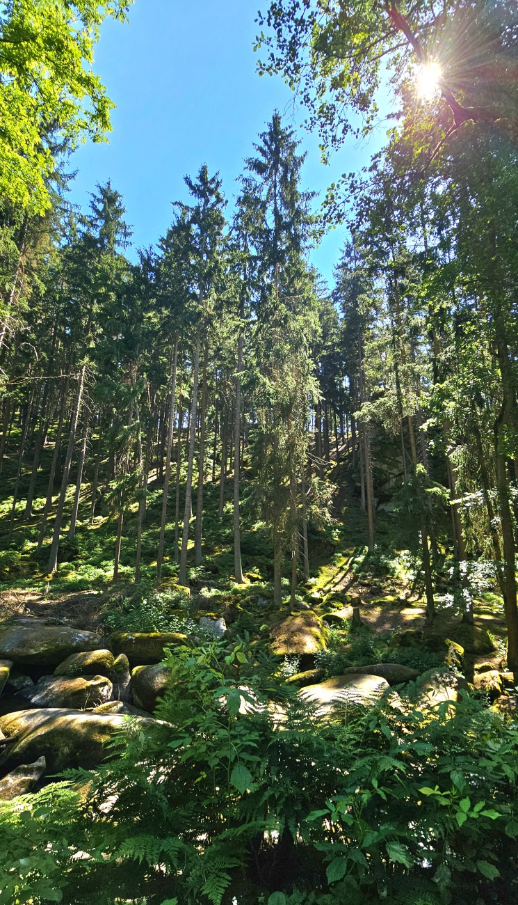 Herrliche Natur, traumhafte Landschaften... auf dem Weg zur Blockhütte im Waldnaabtal.