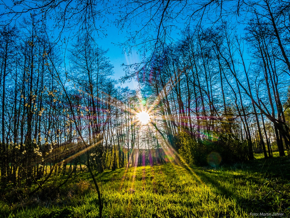 Foto: Martin Zehrer - Unglaubliche Eindrücke - Das Wetter am Karfreitag 2019 war traumhaft, die Natur um die Tauritzmühle herum auch!<br />
<br />
Wandern am 19. April 2019 