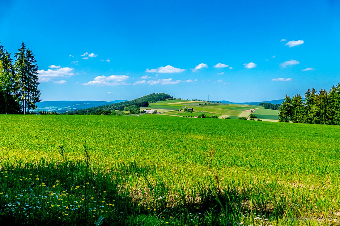 Foto: Martin Zehrer - Blick vom Zissler-Wald über Godas hinweg hin zum Armesberg. Hier lässts sich gut Urlaub machen oder auch besonders schön wohnen ;-) 