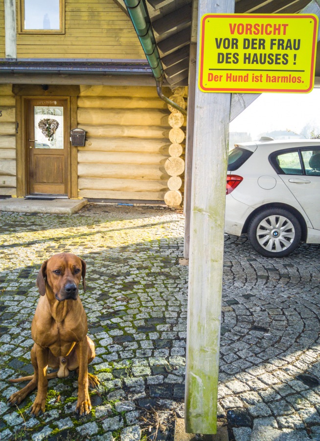 Foto: Martin Zehrer - Man betrachte die Gesamt-Situation ;-) 