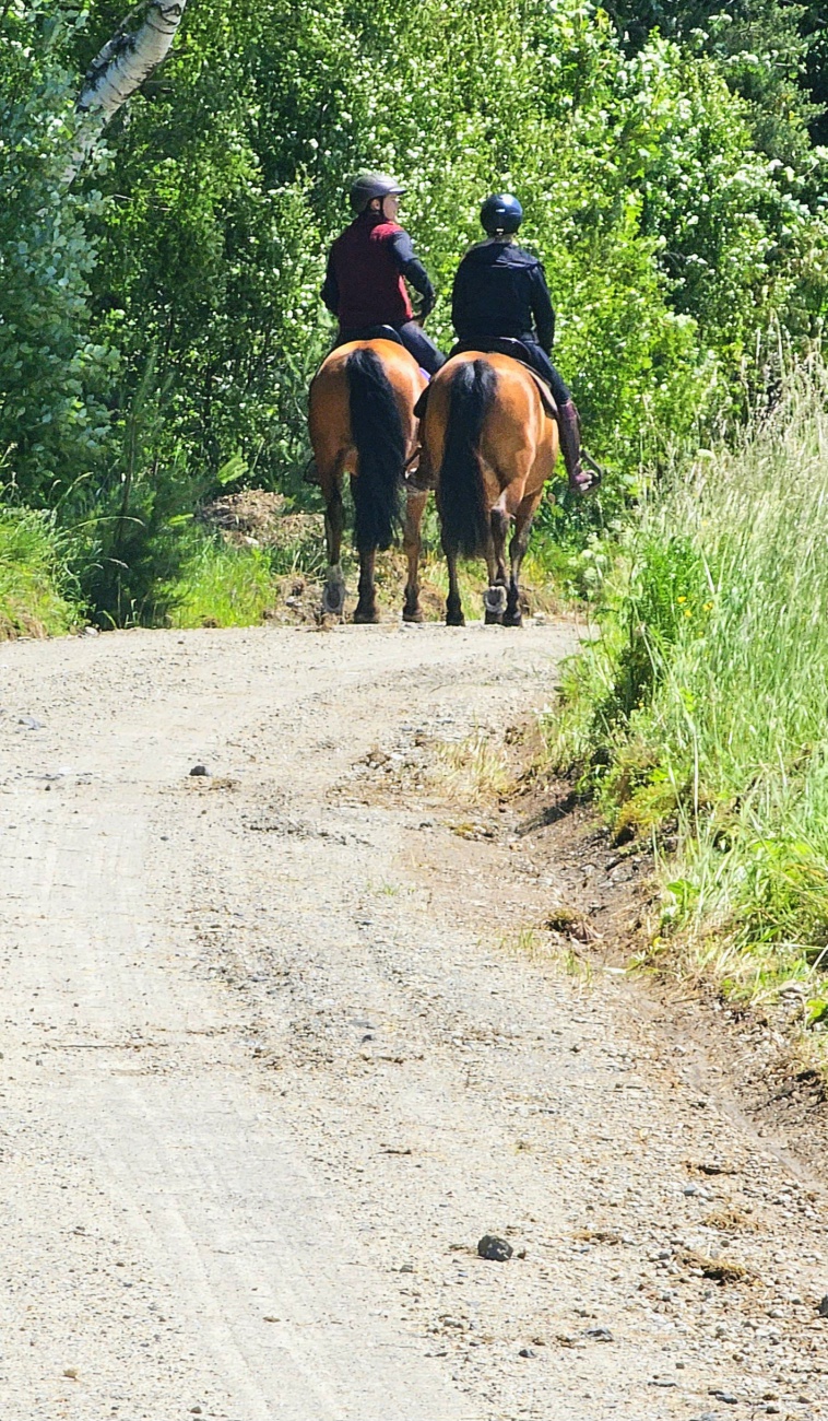 Das Glück dieser Erde... mit den Pferden durch den Steinwald reiten...